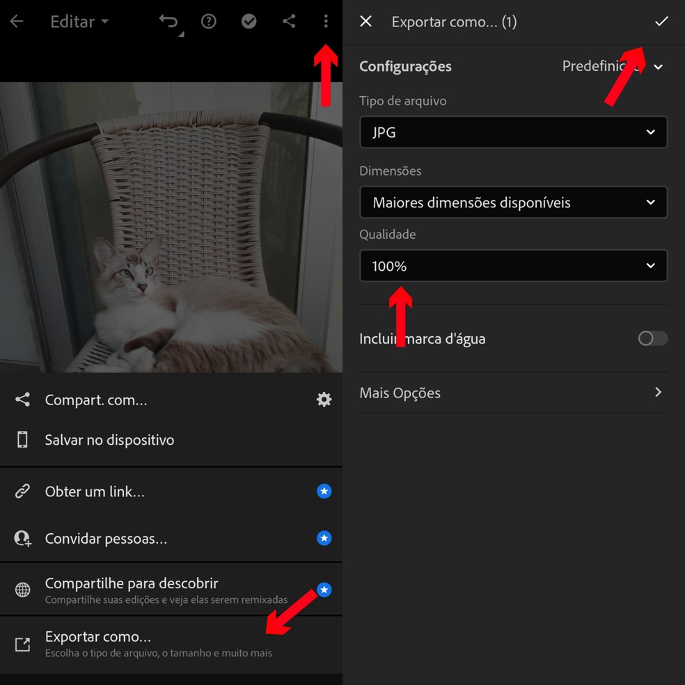 Como usar lightroom mobile veja guia completo para ter fotos perfeitas edapps 1