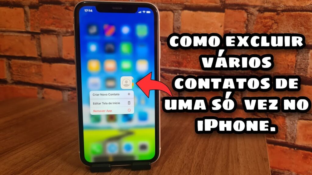 Como apagar todos os contatos do iphone 1