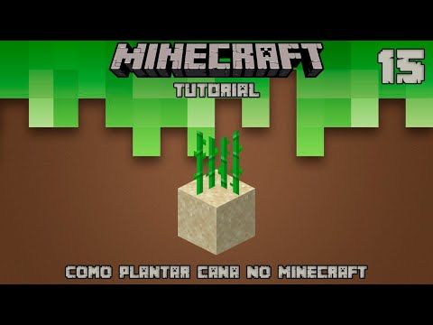 Como plantar cana de acucar no minecraft 1