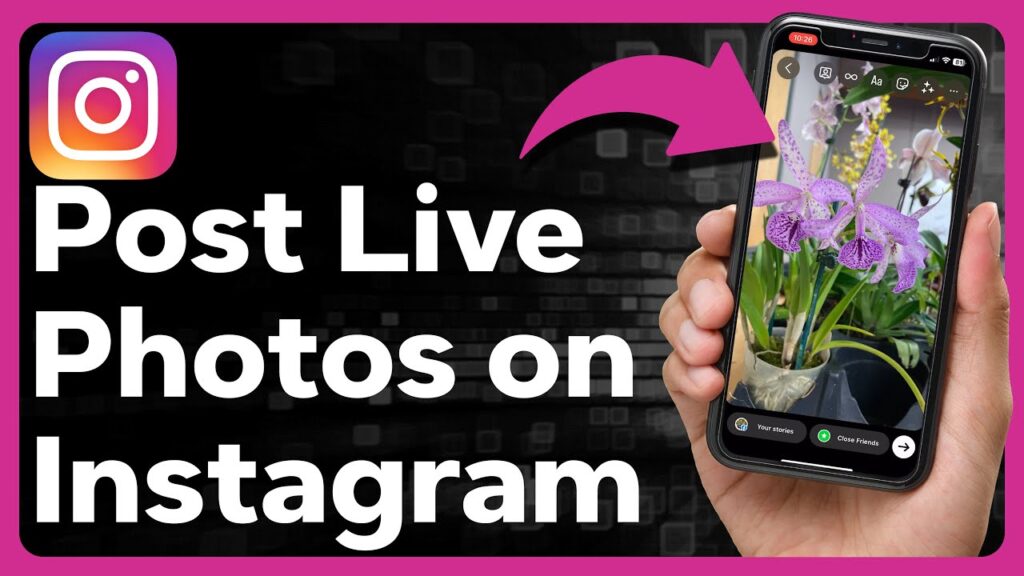 Como postar live photos do iphone no instagram 1