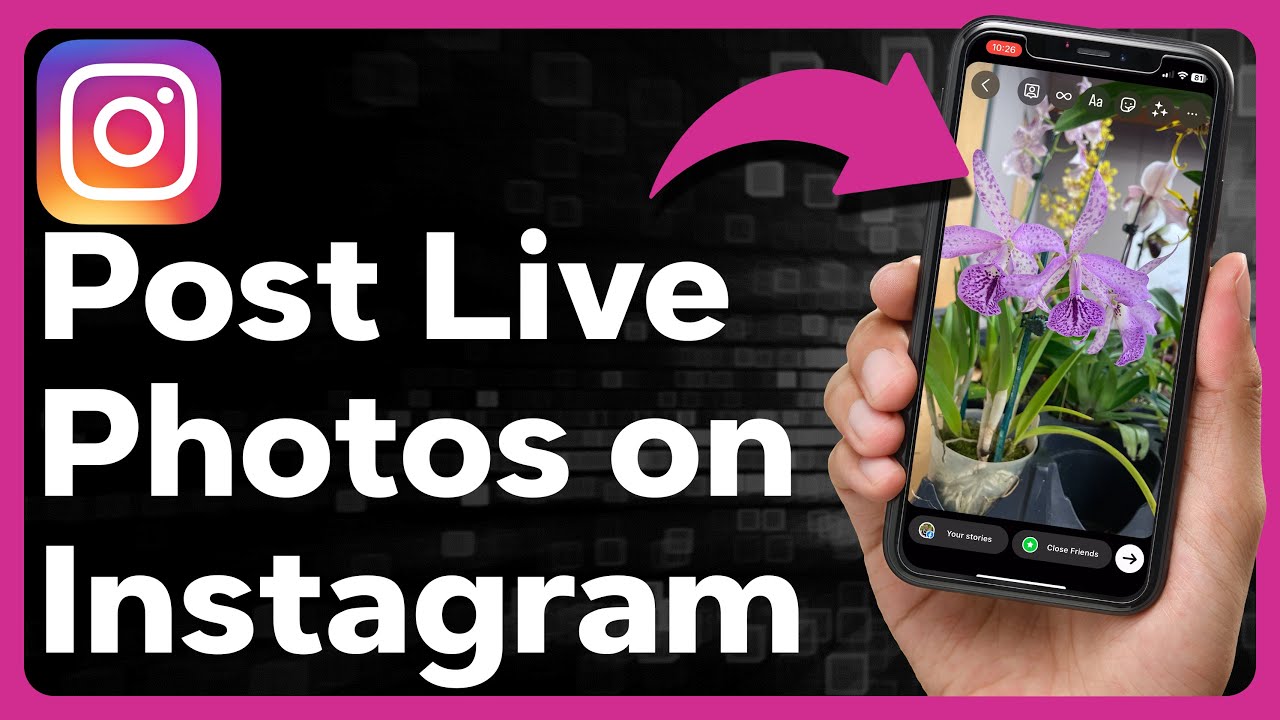 Como publicar live photos do iphone no instagram stories 1