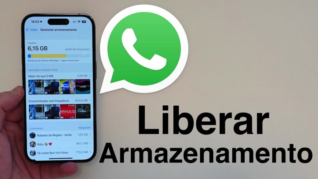Como apagar os dados do whatsapp para iphone 1