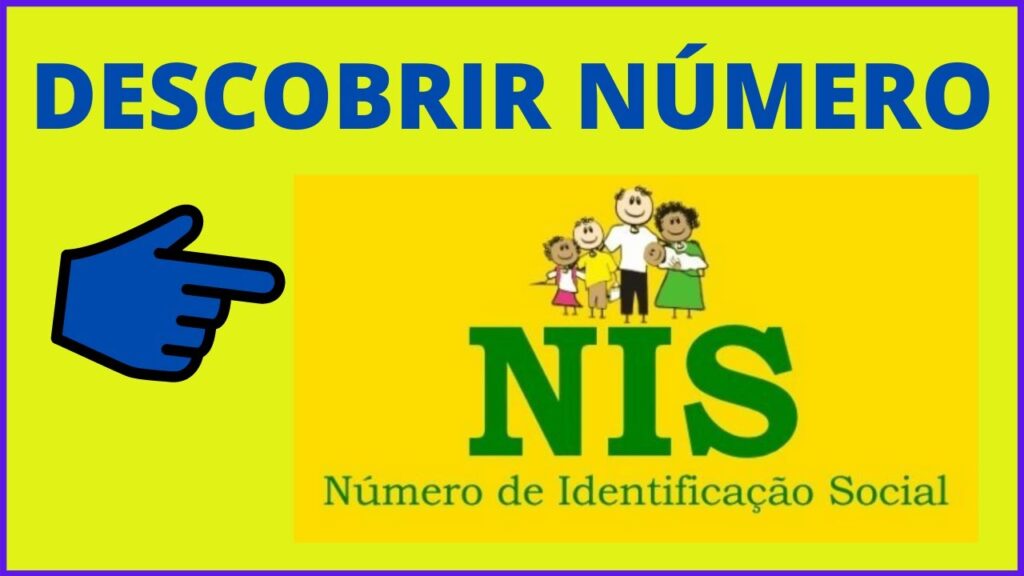 Como saber o numero do nis pela internet 1