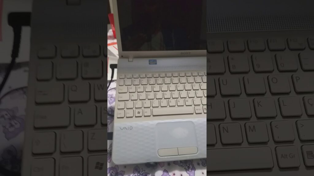 Como entrar na bios setup de um notebook sony 1