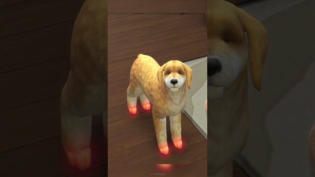 Como reviver um bicho de estimacao em the sims 4 gatos e caes 1