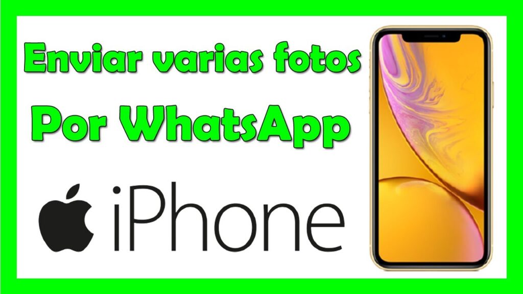 Como enviar um album de fotos no whatsapp para iphone 1