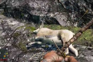Como achar bharal elefantes e yeti em far cry 4
