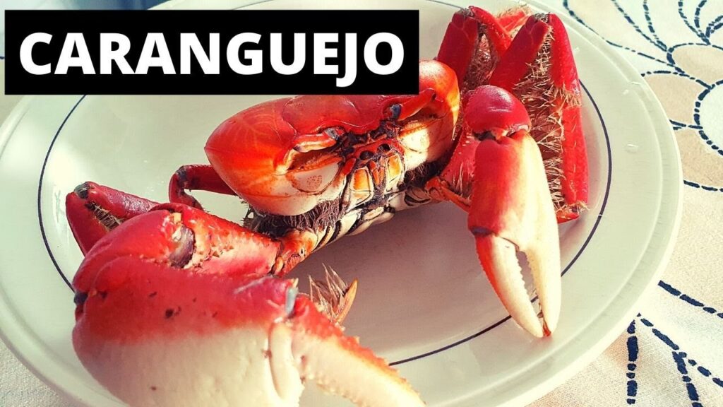 Como ativar o modo escuro do periscope app de video ao vivo 1
