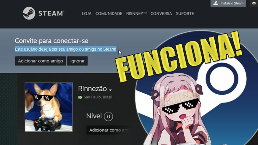 Como adicionar amigos no steam de graca sem comprar jogos 1