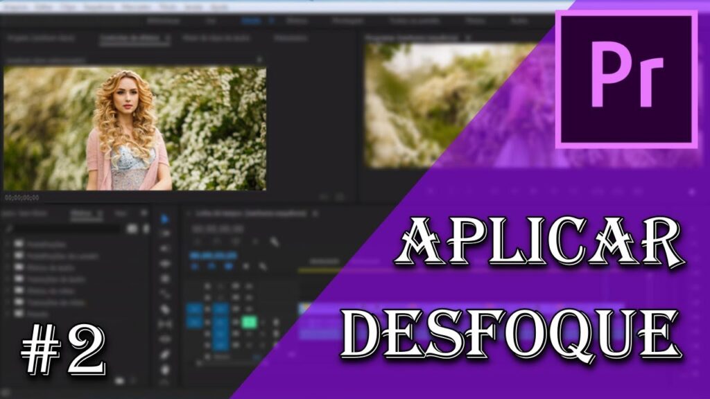 Como desfocar um video no adobe premiere pro 1