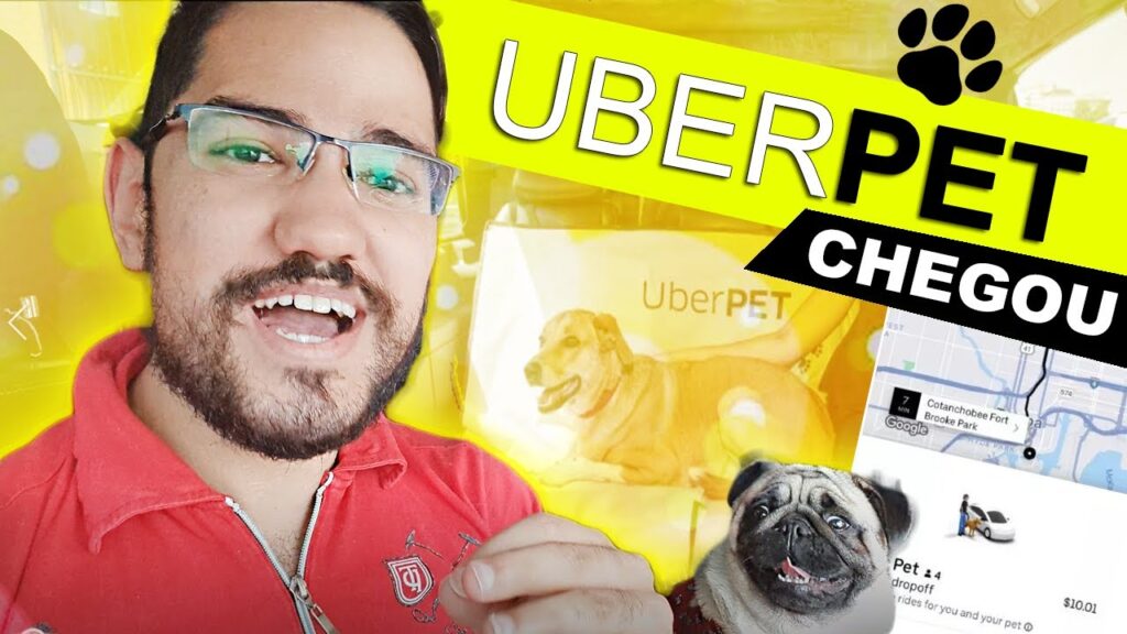 Como usar o uberpet no app do uber 1