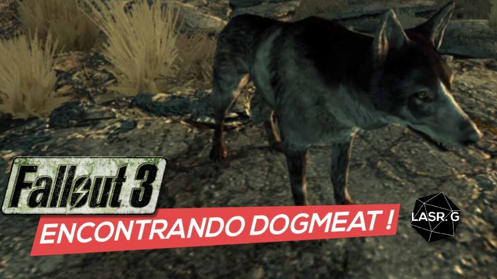 Como pegar o cachorro dogmeat em fallout 3 para recrutar o animal 1