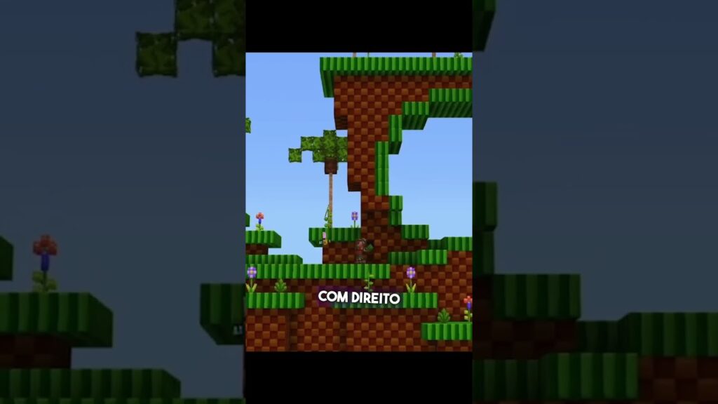 Como fazer download e instalar o mod de sonic em minecraft 1