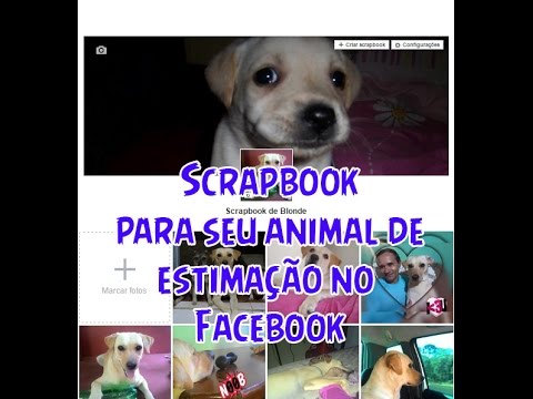 Como cadastrar um scrapbook do seu filho ou pet no perfil do facebook 1