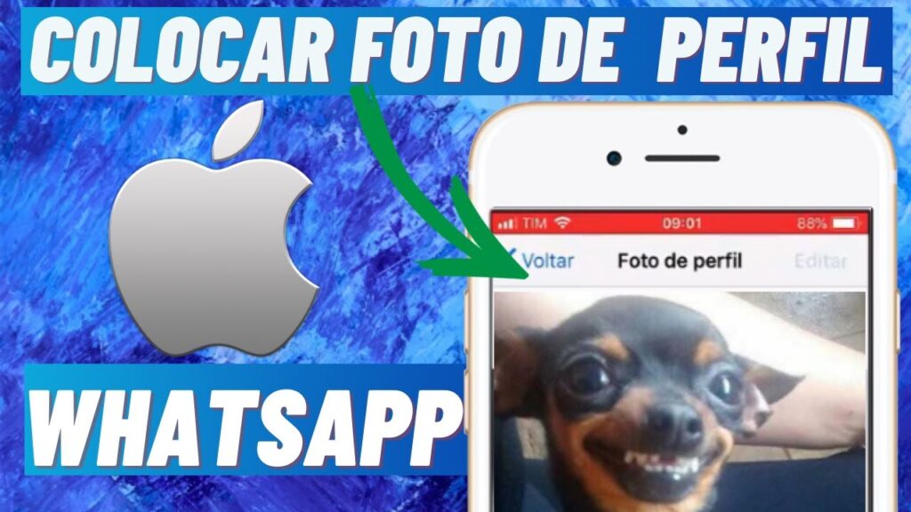 Como trocar foto de perfil do whatsapp no ios 1