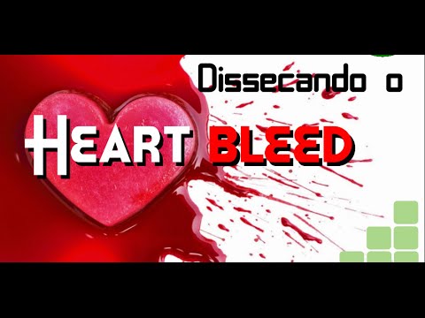 Como checar se seu site favorito esta vulneravel ao bug heartbleed 1