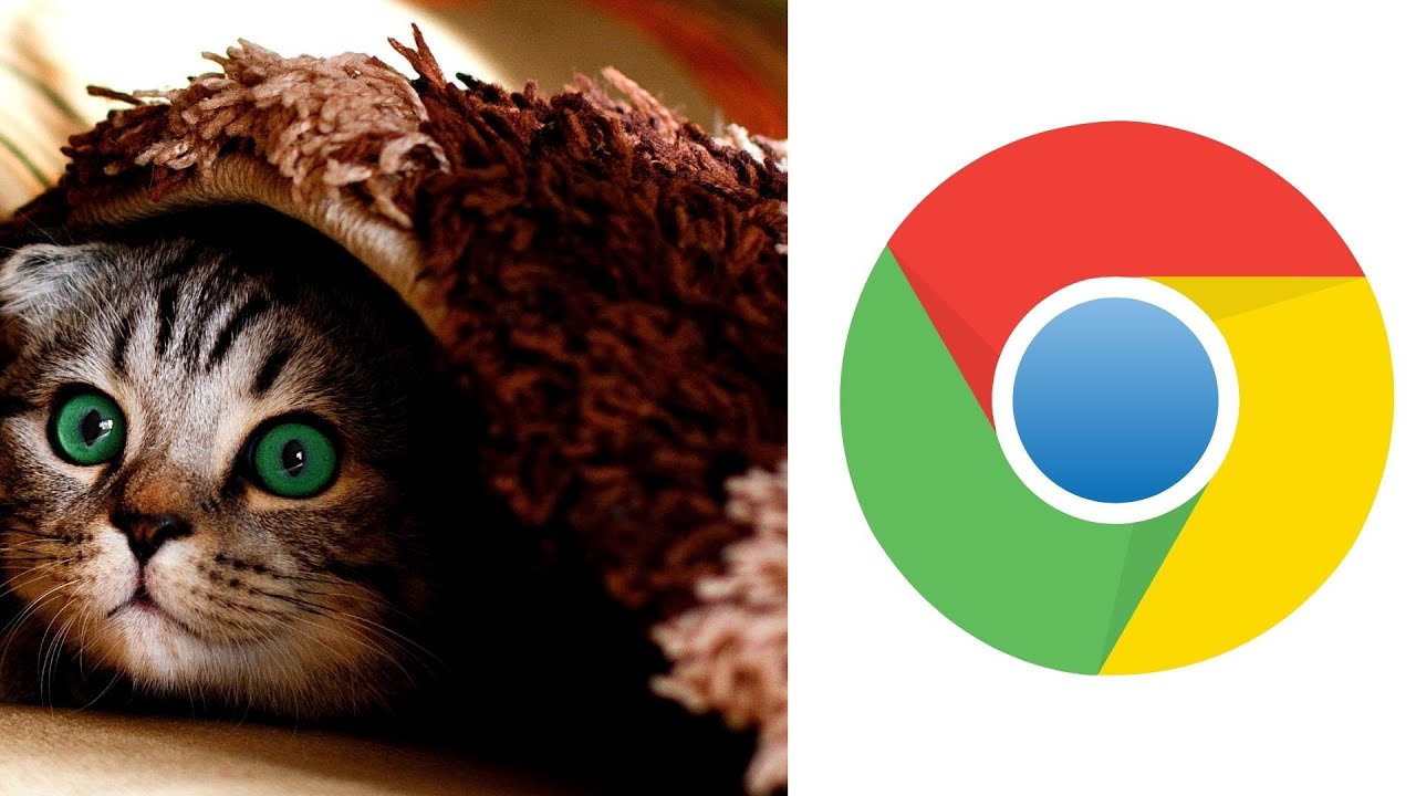 Como inserir um botao do panico no chrome e esconder suas abas 1