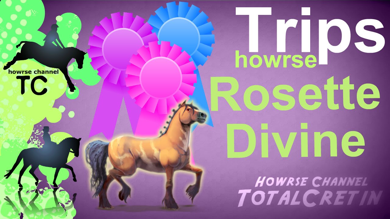 Como conseguir um cavalo divino em howrse 1