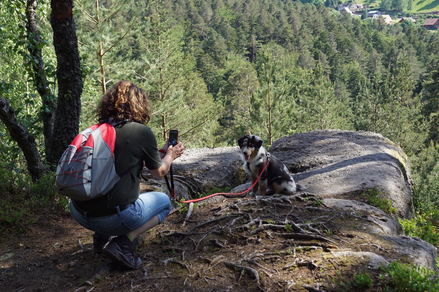 Una persona fotografiando a su perro en un sendero natural con un smartphone, ilustrando el enfoque de seguimiento de movimiento para mascotas.
