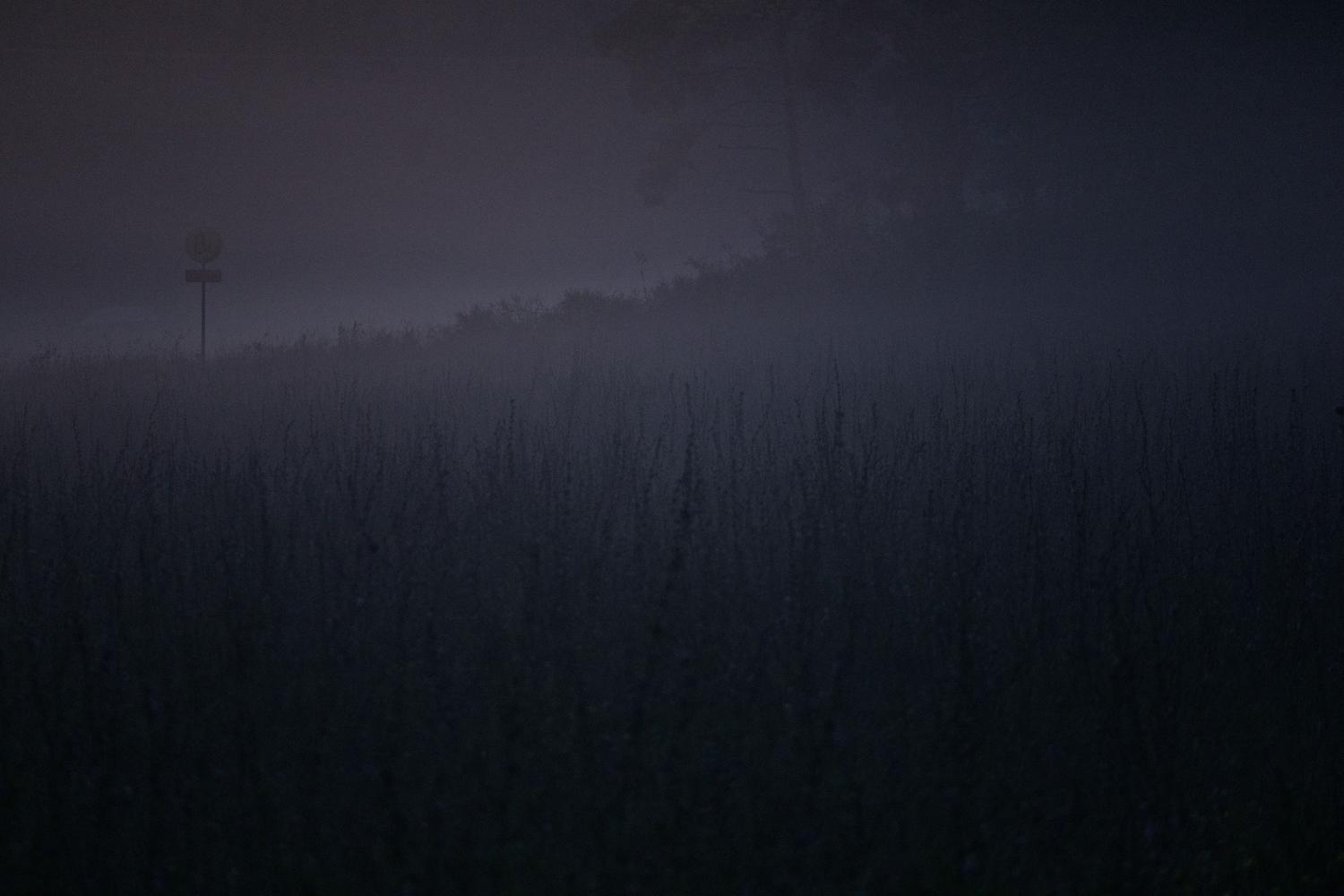 Campo misterioso envuelto en niebla durante el anochecer, creando una escena inquietante que encaja con la supervivencia hardcore del título.